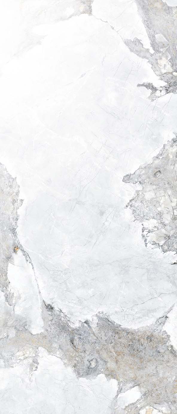 SC2834-5 LTX INVISIBLE ICE - Image 1