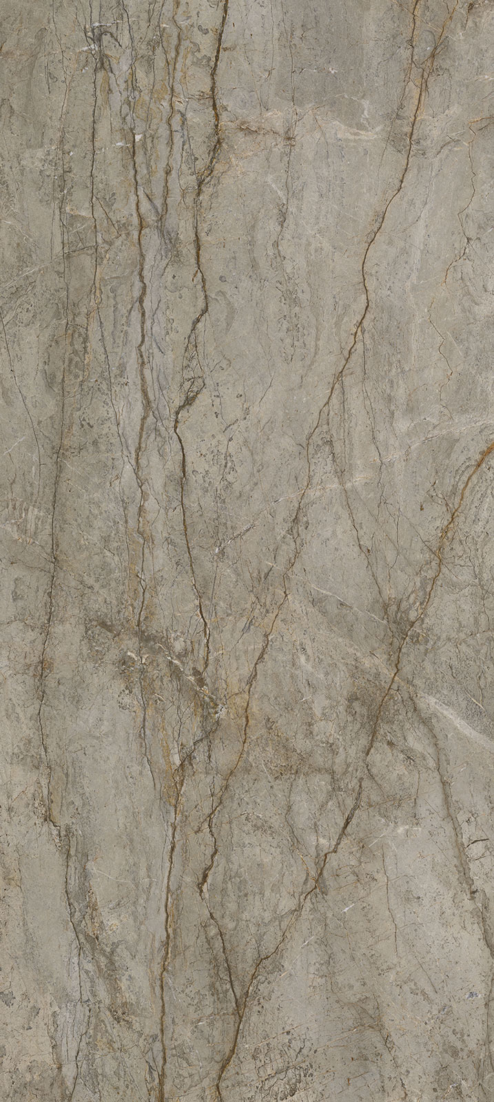 OXFORD GREY LAPPATO 120x280 OXFORD GREY LAPPATO - Image 1